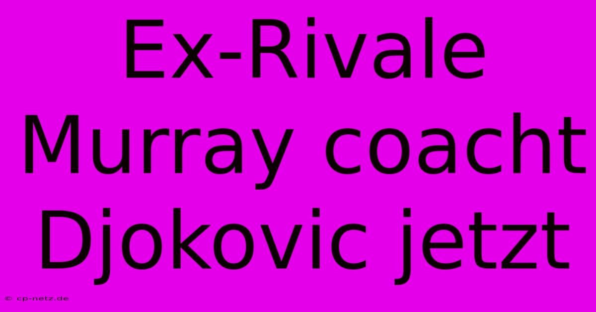 Ex-Rivale Murray Coacht Djokovic Jetzt