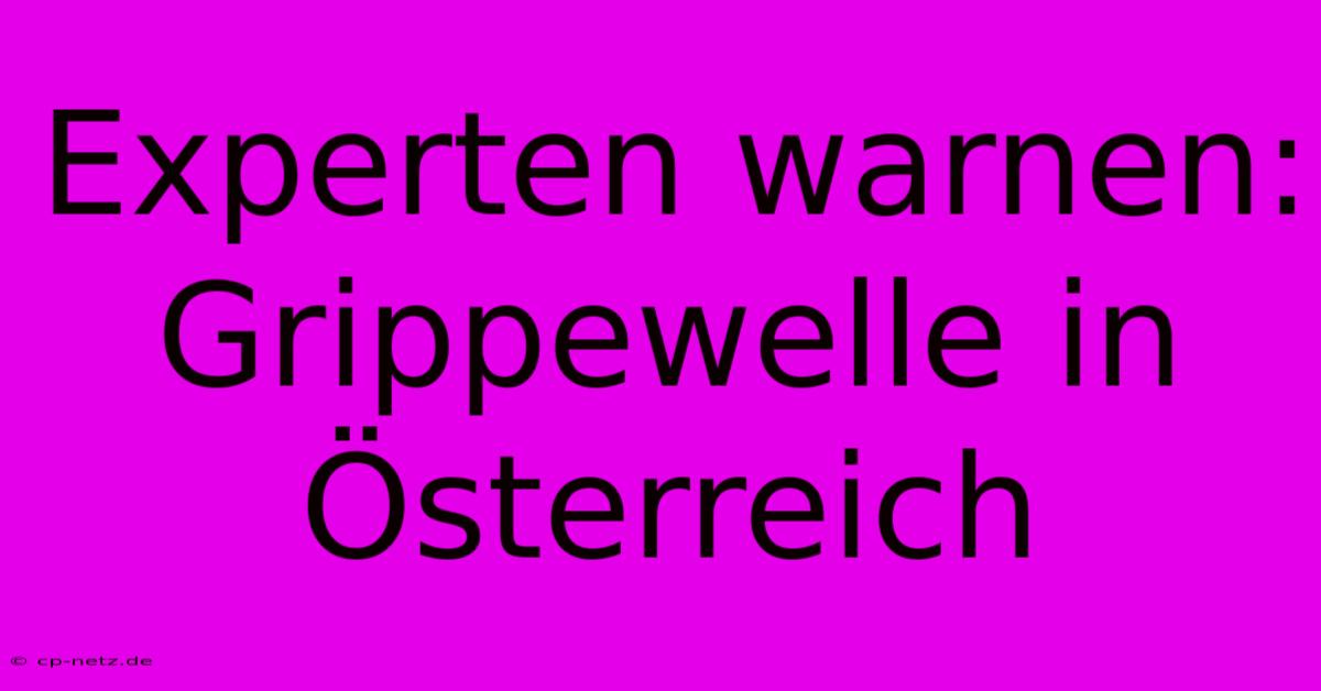 Experten Warnen: Grippewelle In Österreich