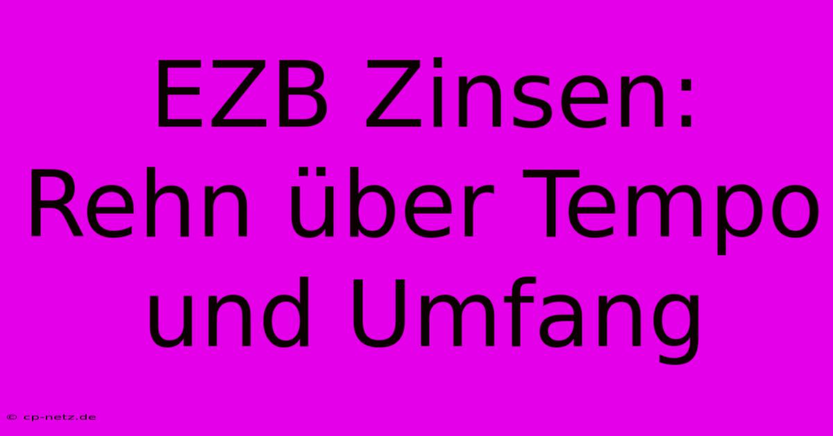 EZB Zinsen: Rehn Über Tempo Und Umfang