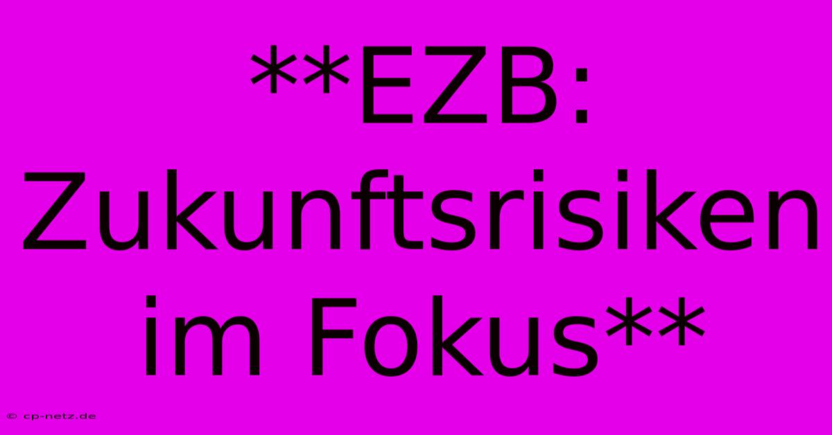 **EZB: Zukunftsrisiken Im Fokus**