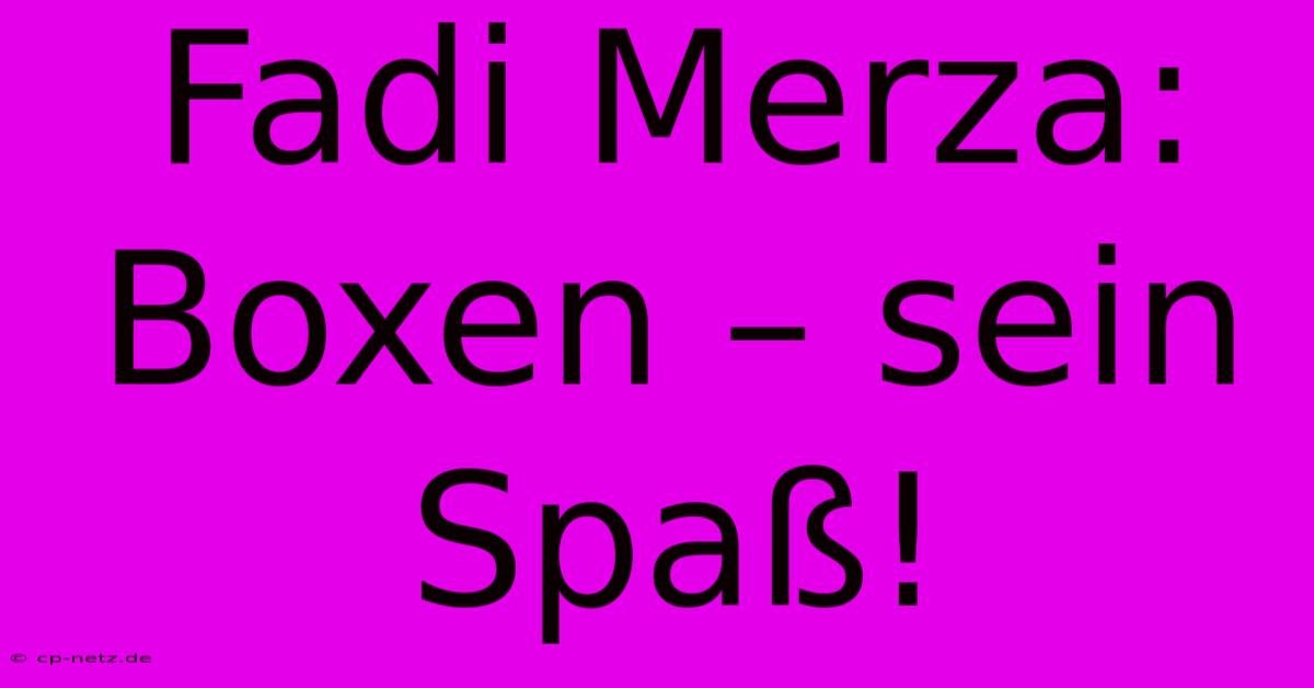 Fadi Merza: Boxen – Sein Spaß!