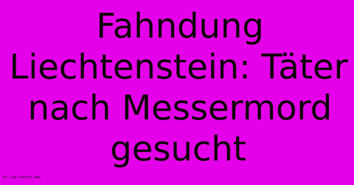 Fahndung Liechtenstein: Täter Nach Messermord Gesucht