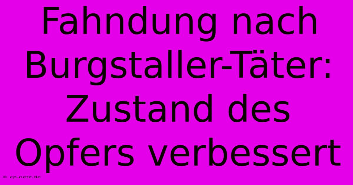 Fahndung Nach Burgstaller-Täter:  Zustand Des Opfers Verbessert