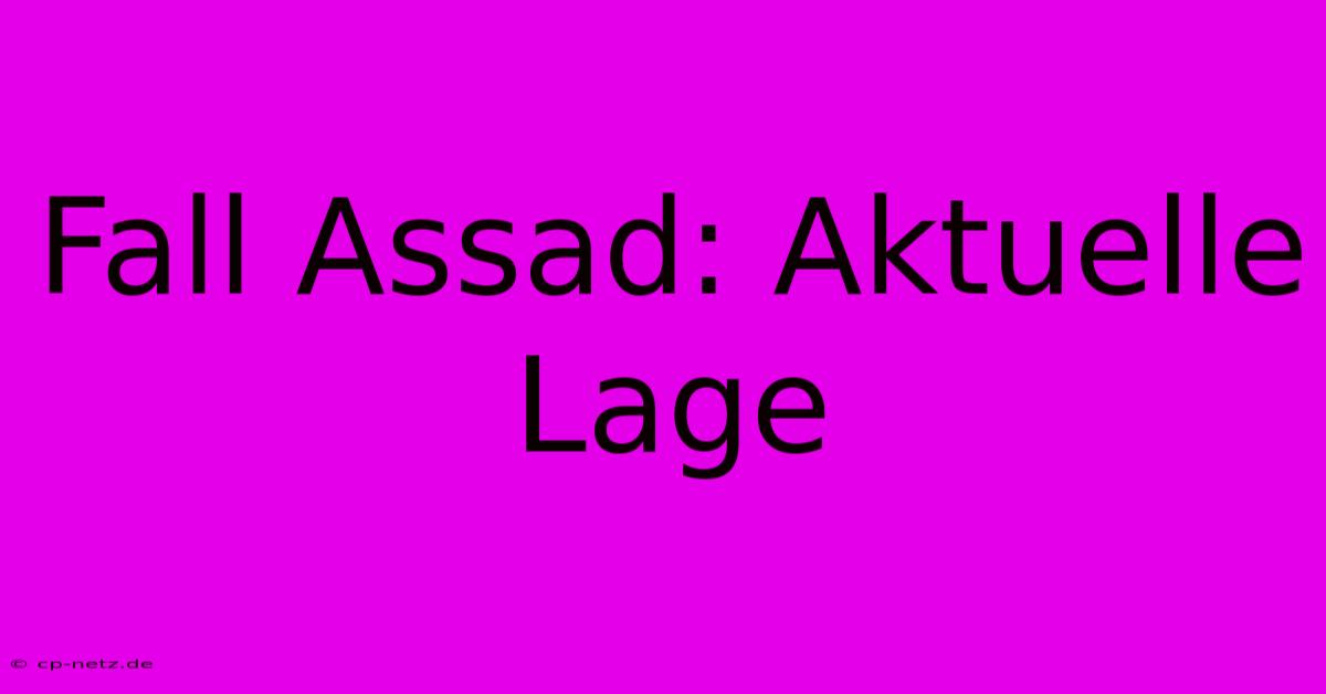 Fall Assad: Aktuelle Lage