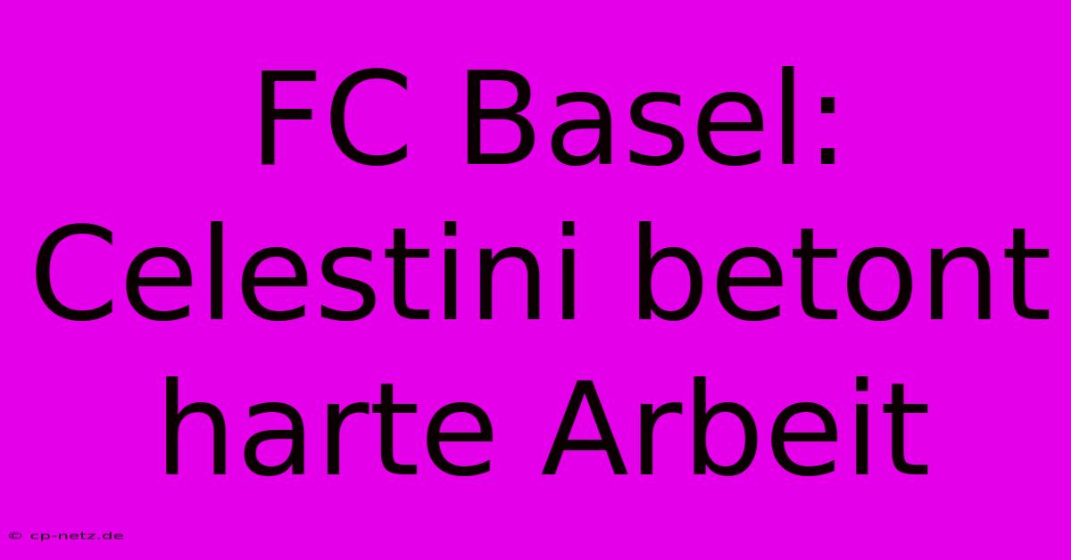 FC Basel: Celestini Betont Harte Arbeit