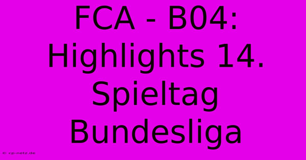 FCA - B04: Highlights 14. Spieltag Bundesliga