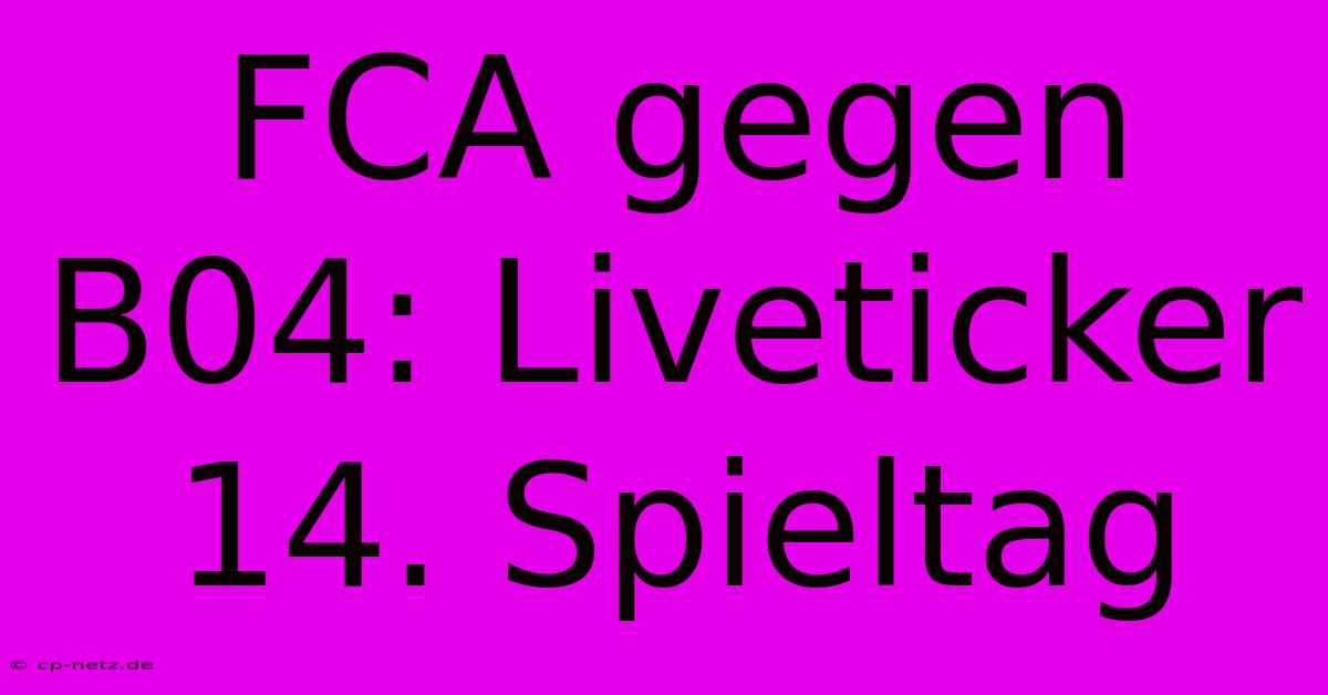 FCA Gegen B04: Liveticker 14. Spieltag