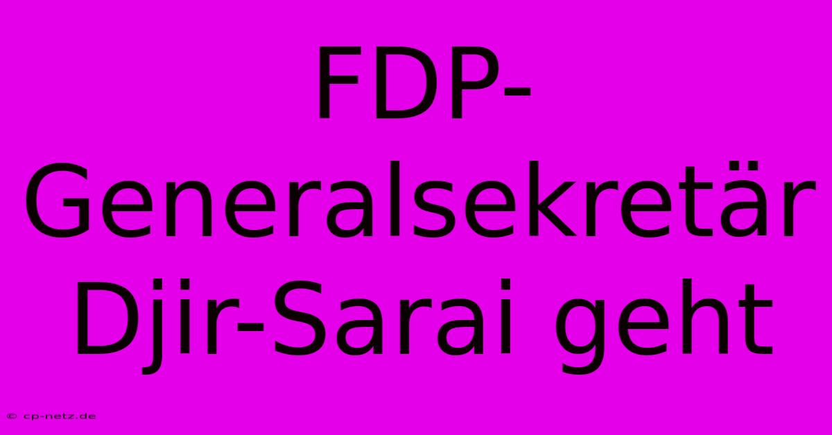 FDP-Generalsekretär Djir-Sarai Geht