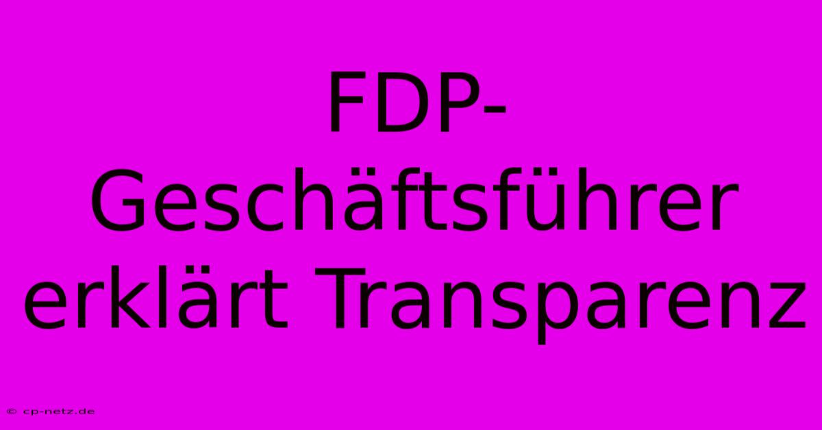 FDP-Geschäftsführer Erklärt Transparenz