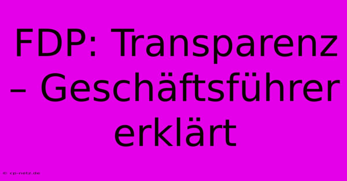 FDP: Transparenz – Geschäftsführer Erklärt