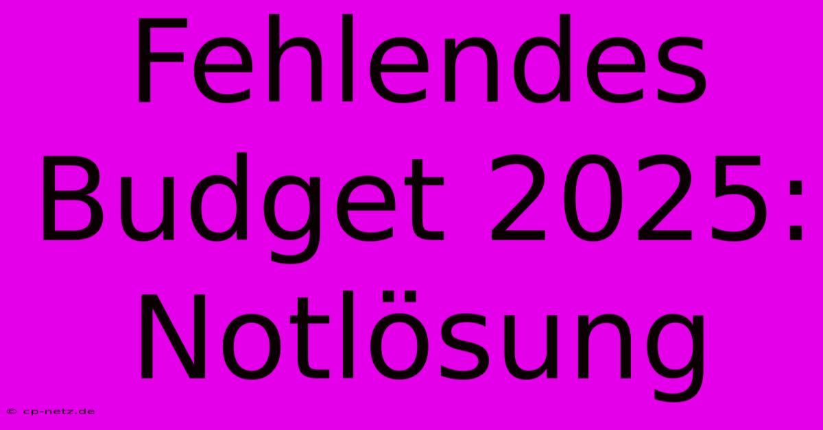 Fehlendes Budget 2025:  Notlösung