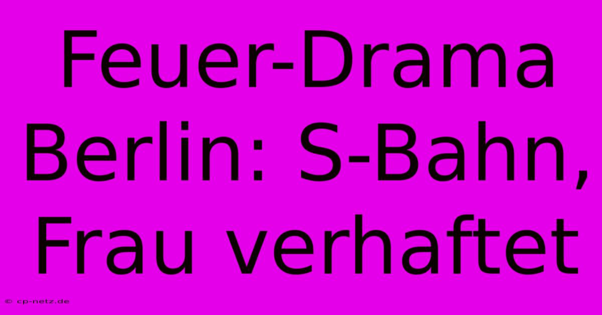 Feuer-Drama Berlin: S-Bahn, Frau Verhaftet