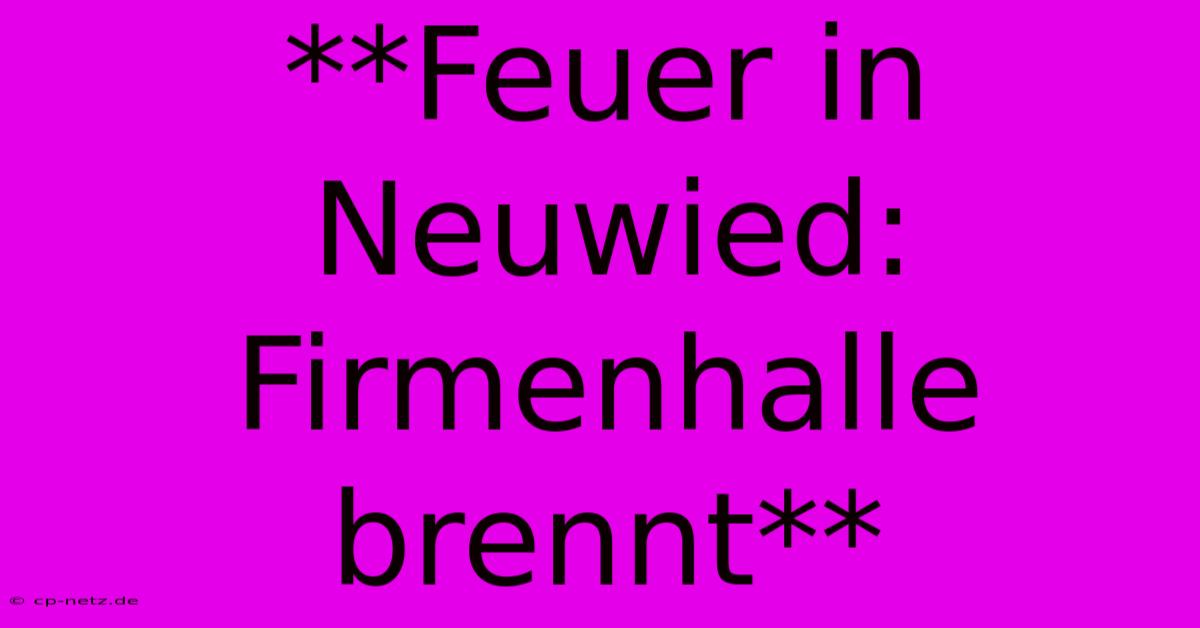 **Feuer In Neuwied: Firmenhalle Brennt**