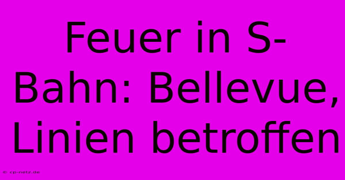 Feuer In S-Bahn: Bellevue, Linien Betroffen