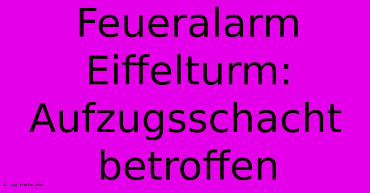 Feueralarm Eiffelturm: Aufzugsschacht Betroffen