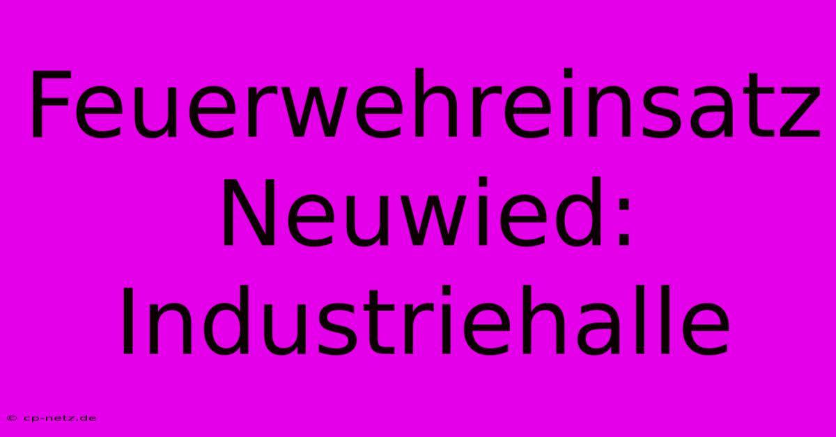 Feuerwehreinsatz Neuwied: Industriehalle