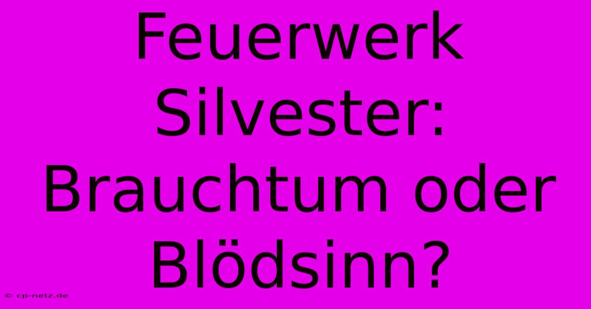 Feuerwerk Silvester: Brauchtum Oder Blödsinn?