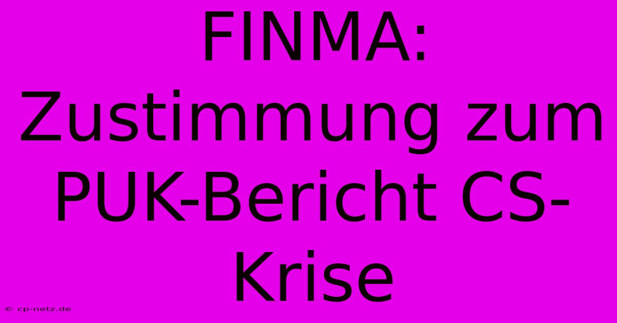 FINMA: Zustimmung Zum PUK-Bericht CS-Krise