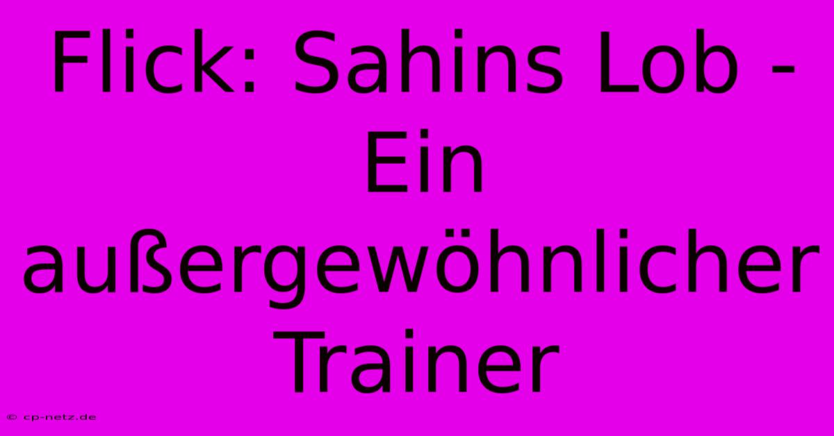 Flick: Sahins Lob - Ein Außergewöhnlicher Trainer