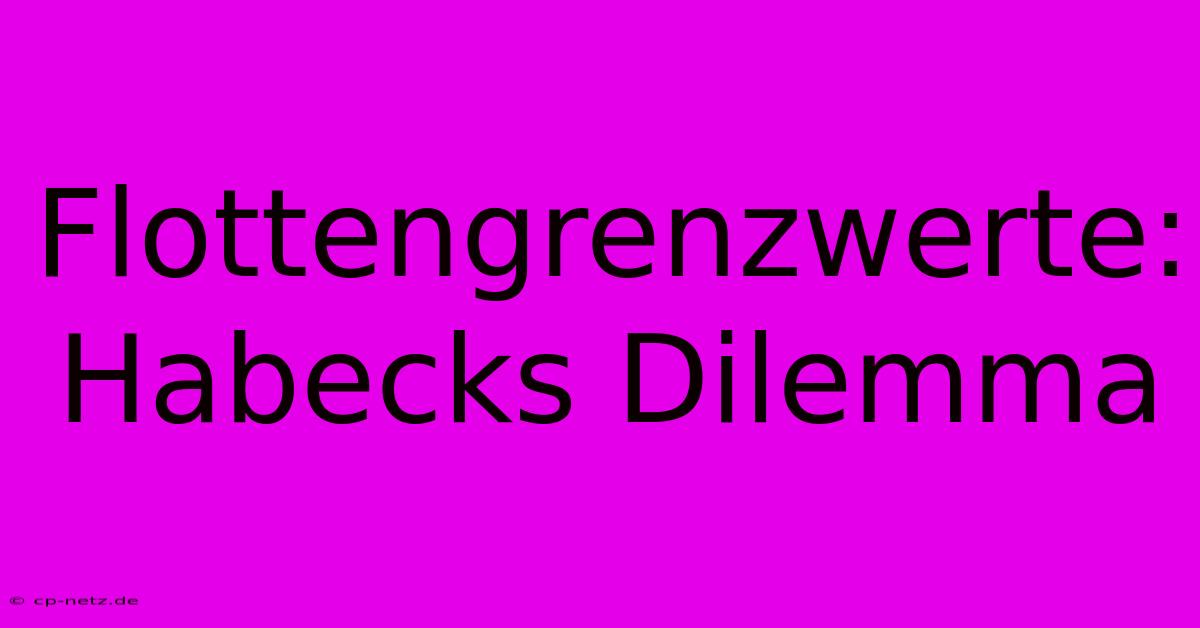 Flottengrenzwerte: Habecks Dilemma