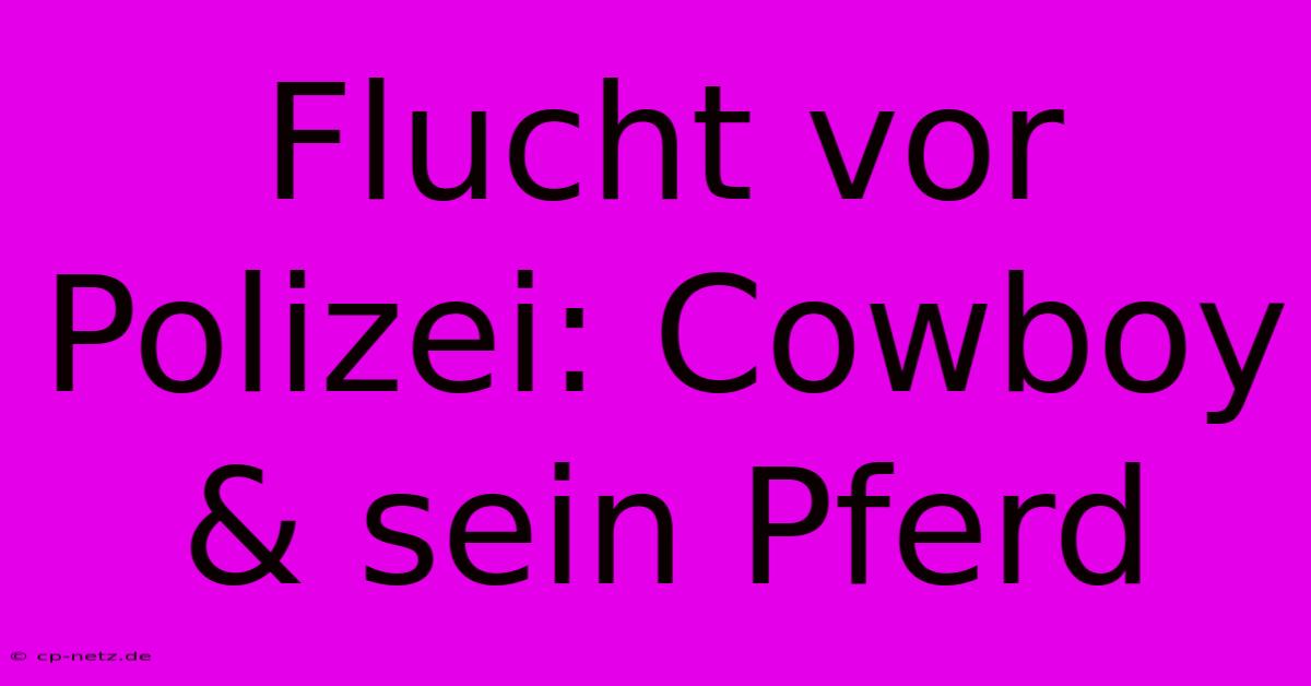 Flucht Vor Polizei: Cowboy & Sein Pferd