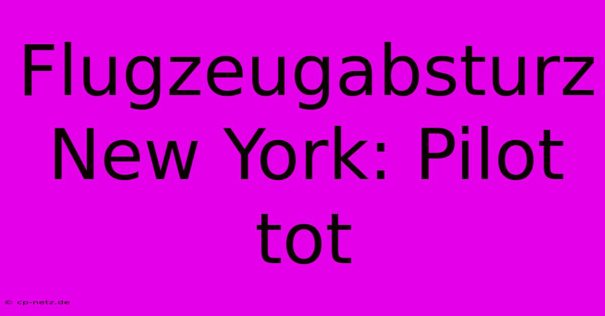 Flugzeugabsturz New York: Pilot Tot