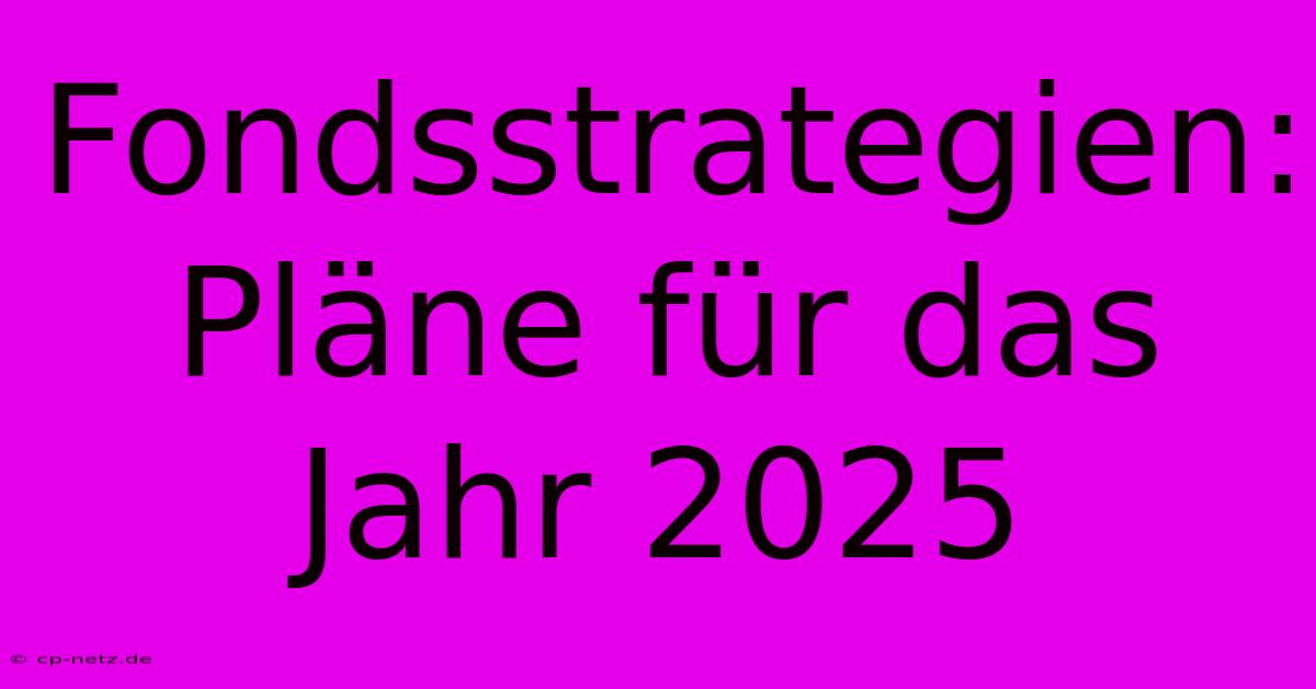 Fondsstrategien: Pläne Für Das Jahr 2025