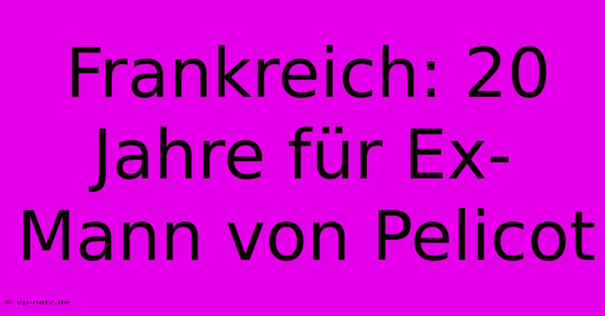 Frankreich: 20 Jahre Für Ex-Mann Von Pelicot