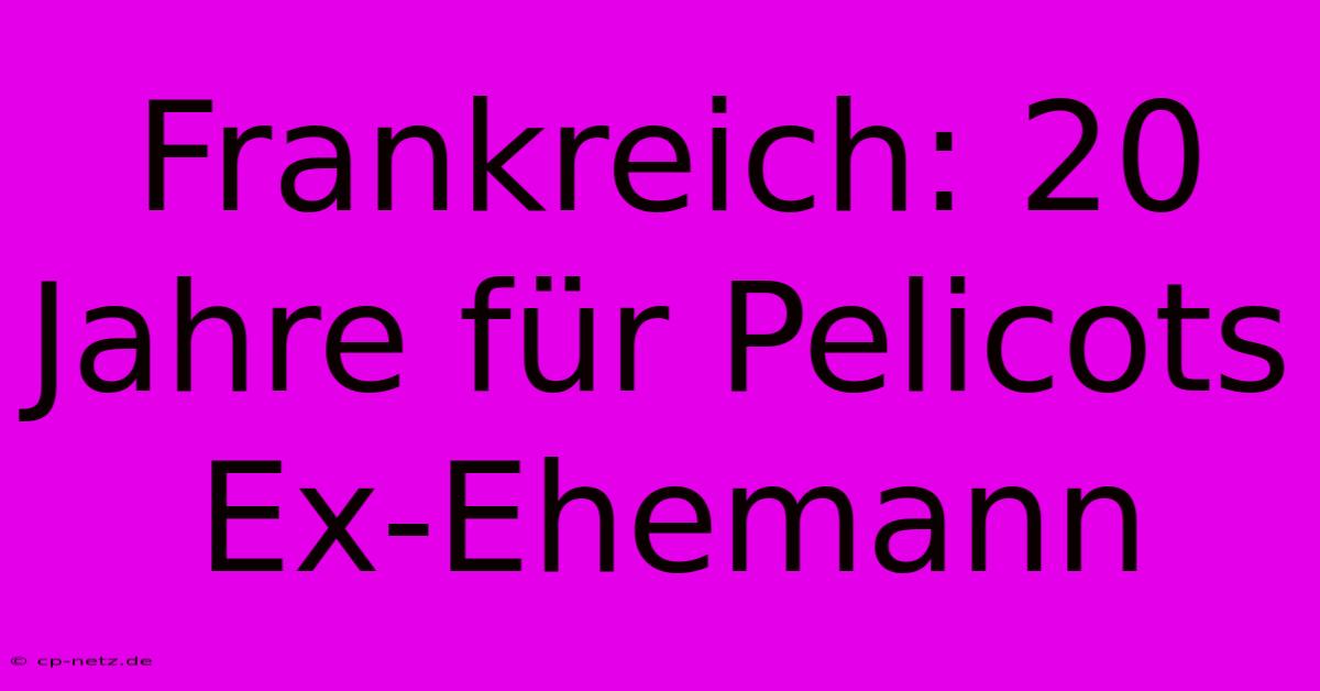 Frankreich: 20 Jahre Für Pelicots Ex-Ehemann