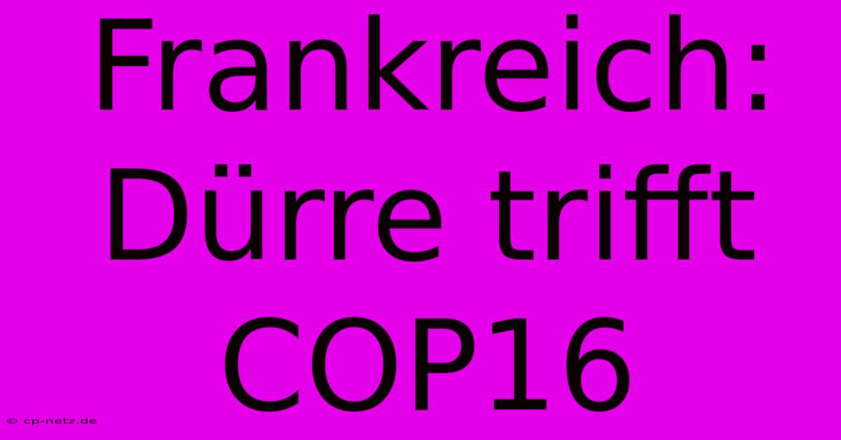 Frankreich: Dürre Trifft COP16