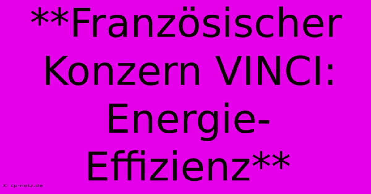 **Französischer Konzern VINCI: Energie-Effizienz**