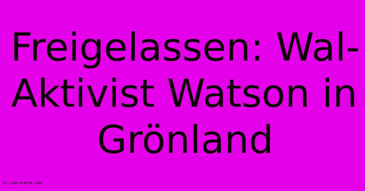 Freigelassen: Wal-Aktivist Watson In Grönland