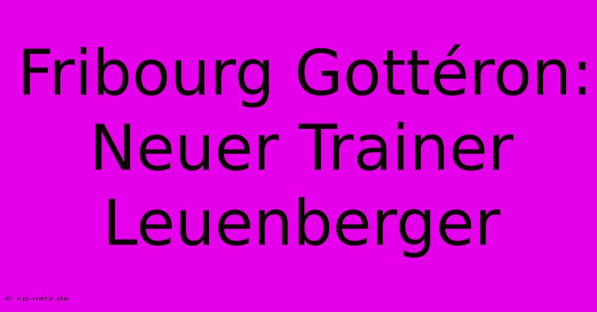 Fribourg Gottéron: Neuer Trainer Leuenberger