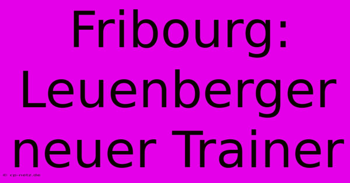 Fribourg: Leuenberger Neuer Trainer