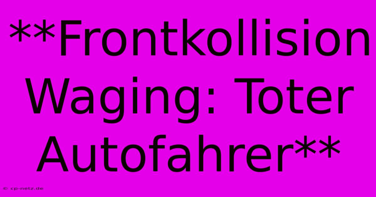 **Frontkollision Waging: Toter Autofahrer**