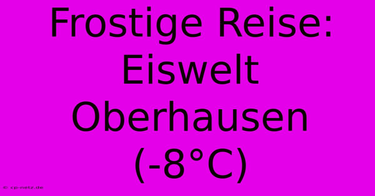 Frostige Reise: Eiswelt Oberhausen (-8°C)