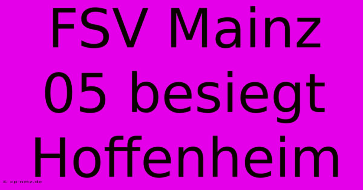 FSV Mainz 05 Besiegt Hoffenheim