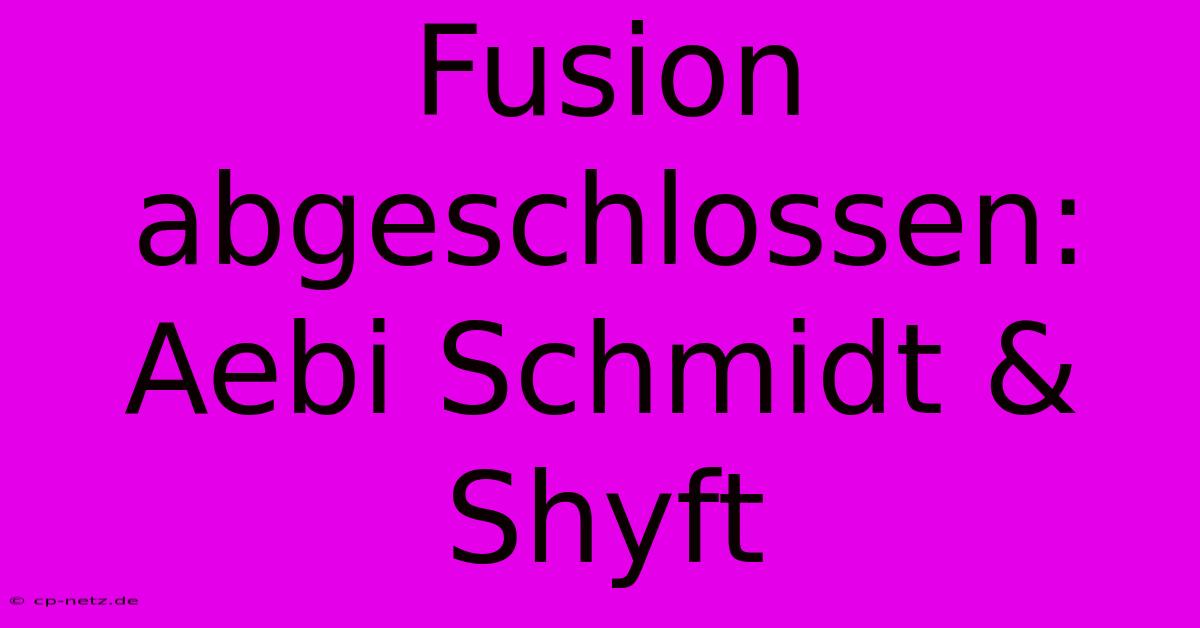 Fusion Abgeschlossen: Aebi Schmidt & Shyft