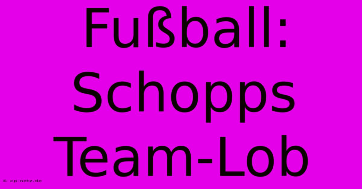 Fußball: Schopps Team-Lob