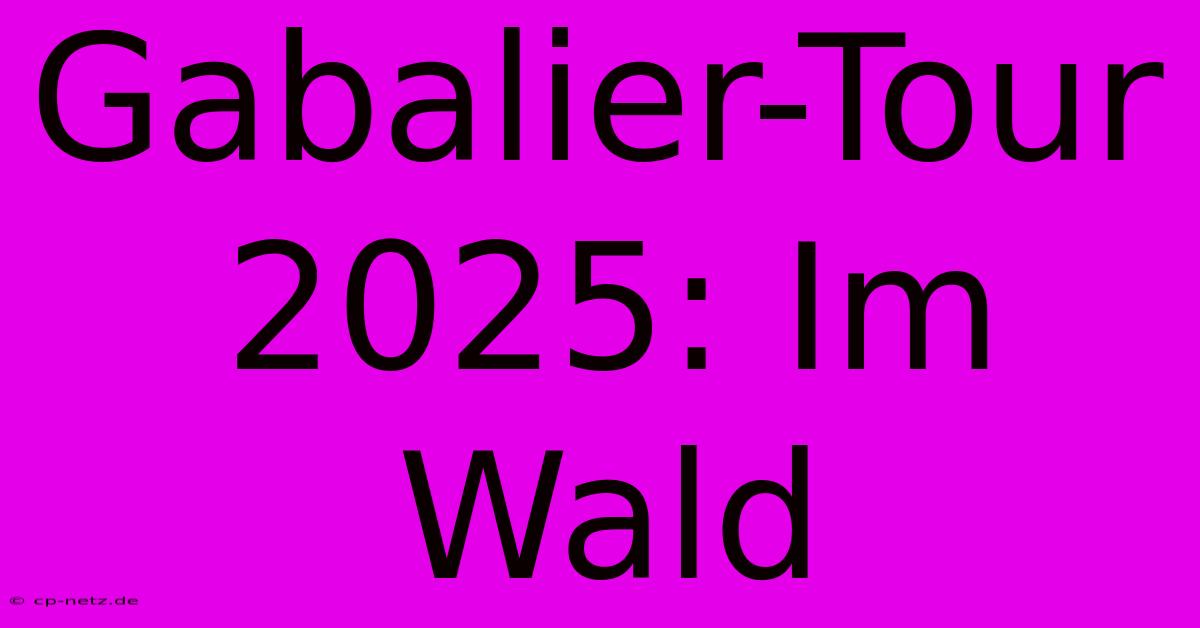 Gabalier-Tour 2025: Im Wald