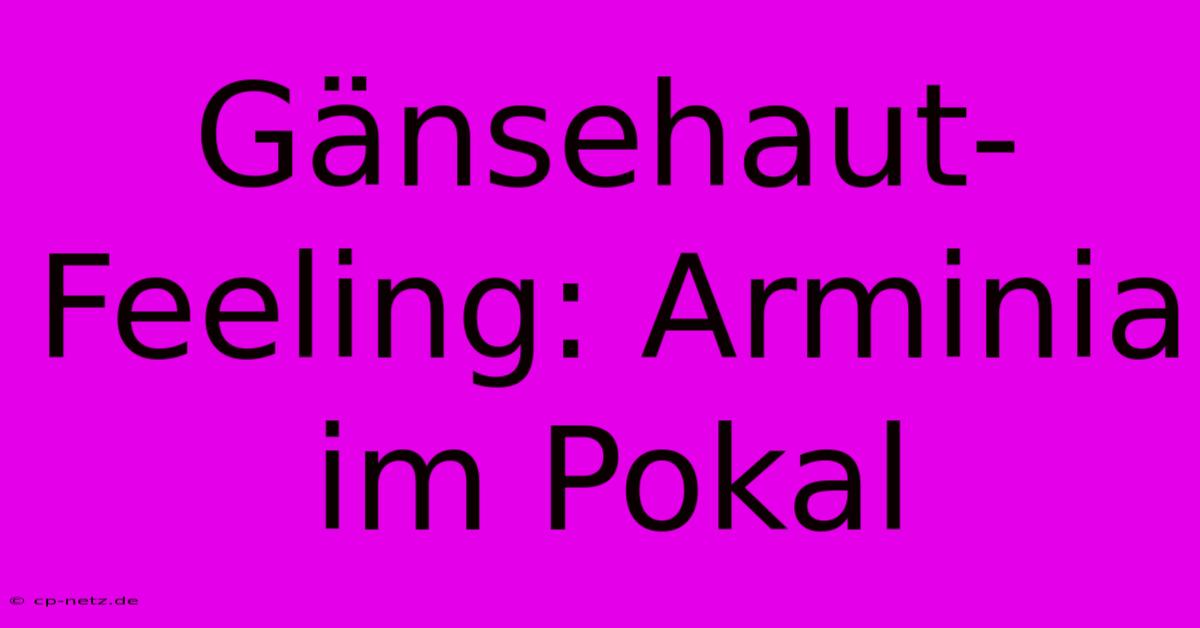 Gänsehaut-Feeling: Arminia Im Pokal