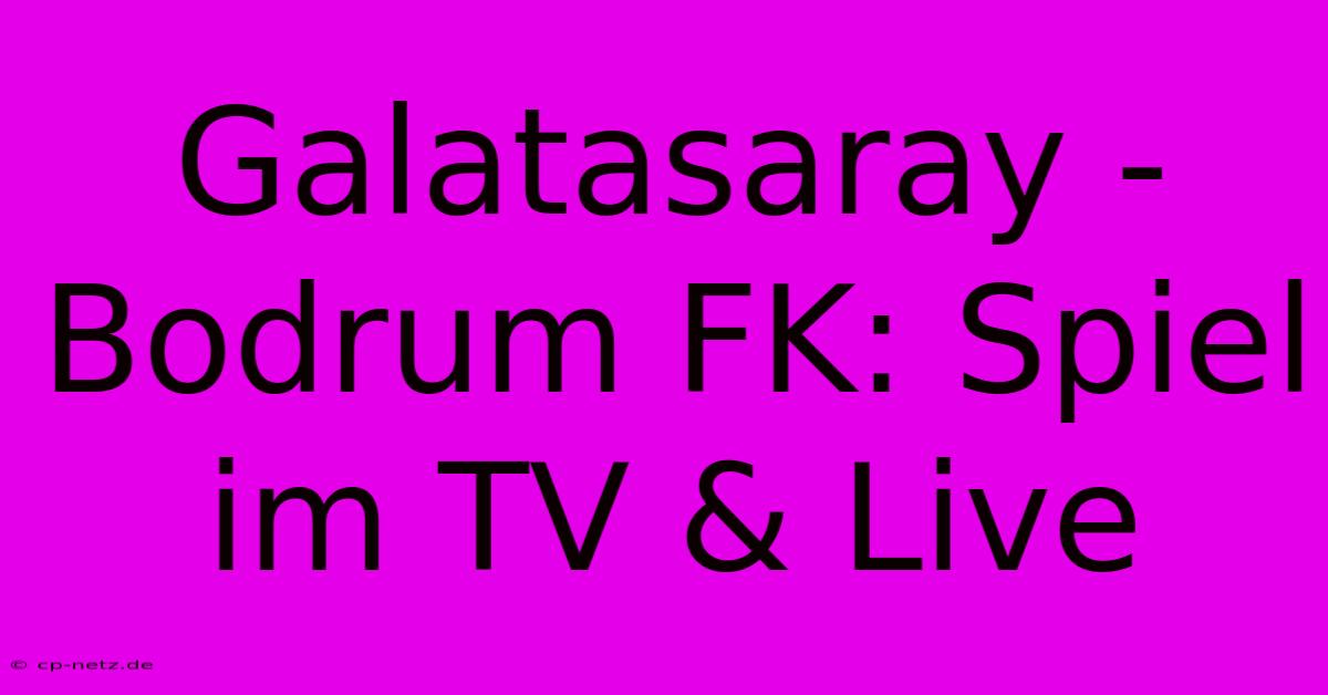 Galatasaray - Bodrum FK: Spiel Im TV & Live