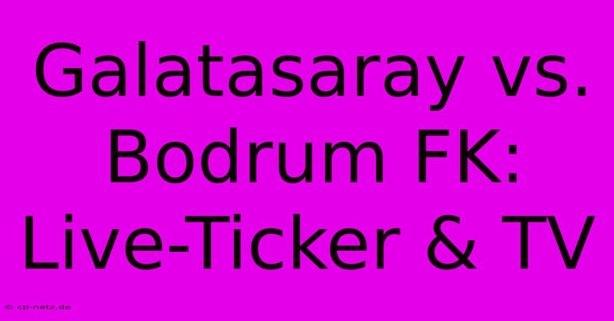 Galatasaray Vs. Bodrum FK: Live-Ticker & TV