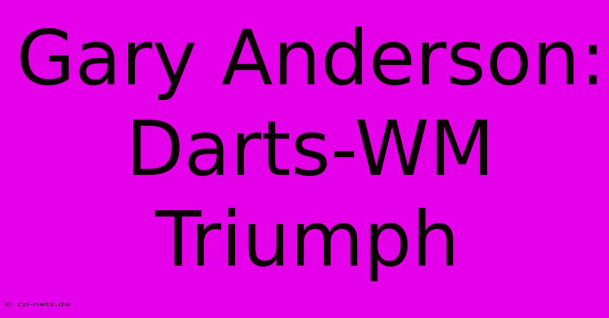 Gary Anderson: Darts-WM Triumph