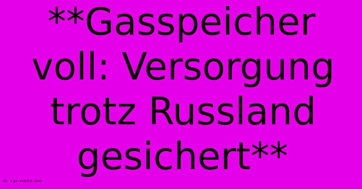 **Gasspeicher Voll: Versorgung Trotz Russland Gesichert**