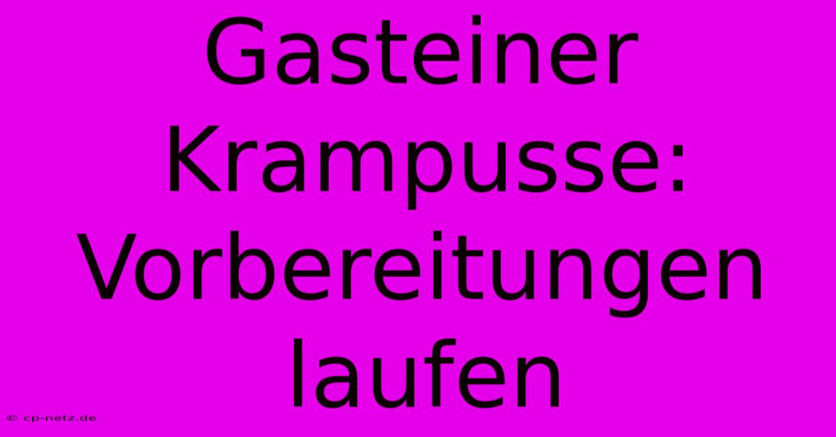 Gasteiner Krampusse: Vorbereitungen Laufen