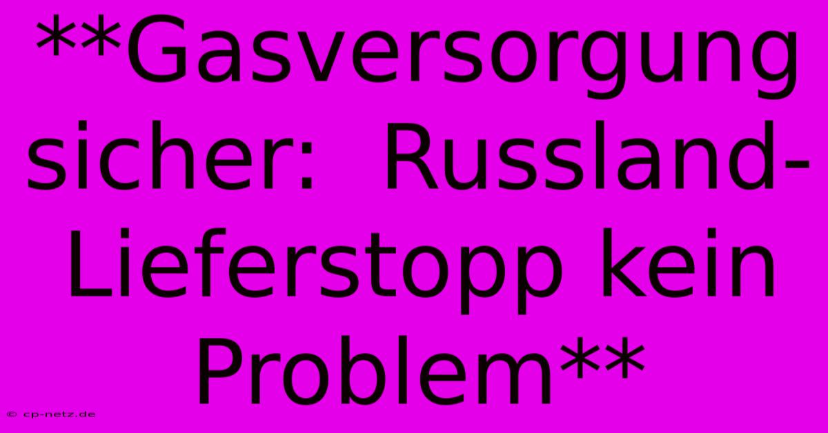 **Gasversorgung Sicher:  Russland-Lieferstopp Kein Problem**