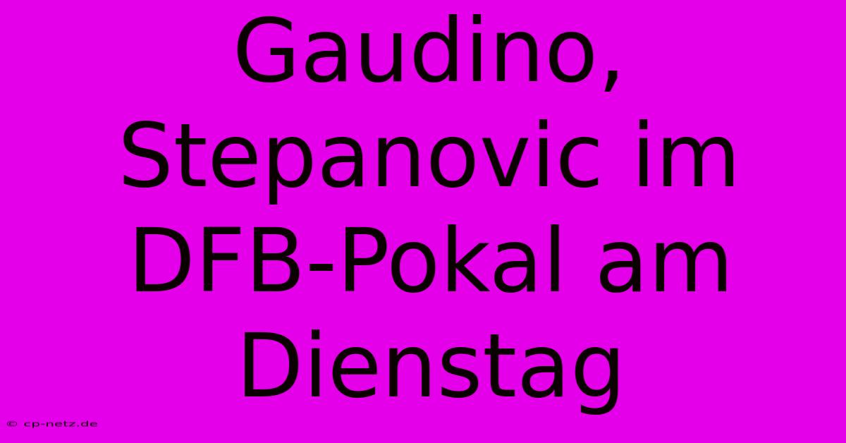 Gaudino, Stepanovic Im DFB-Pokal Am Dienstag