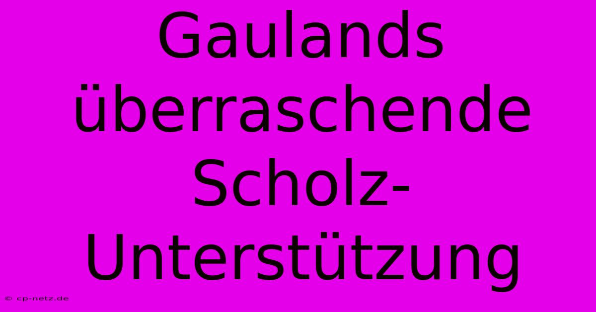 Gaulands Überraschende Scholz-Unterstützung