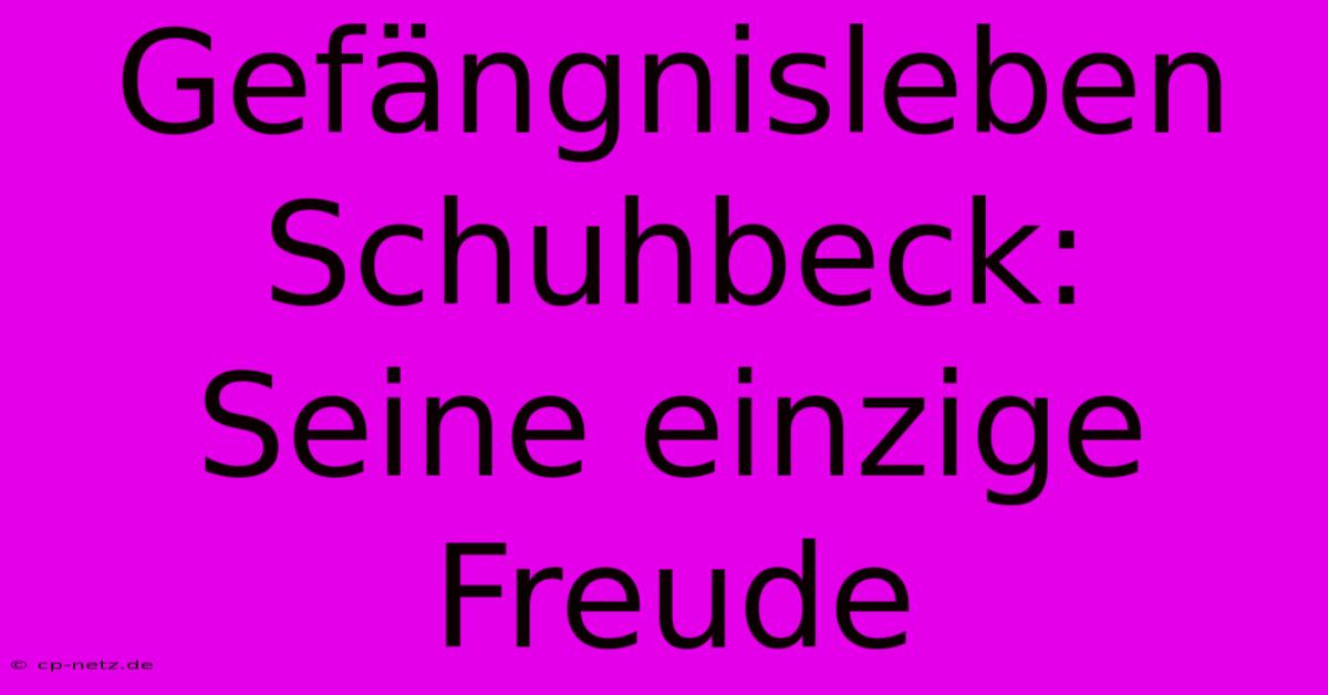 Gefängnisleben Schuhbeck:  Seine Einzige Freude